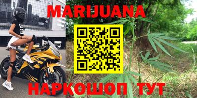 крисы Кунгур