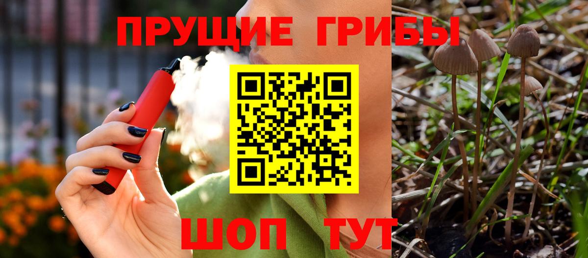 Псилоцибиновые грибы прущие грибы  Вход с VPN  Егорьевск 