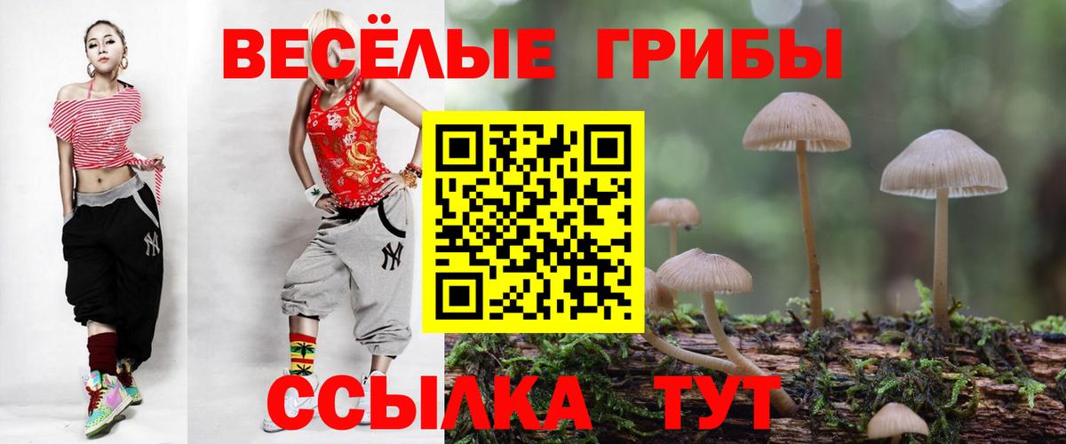 Псилоцибиновые грибы ЛСД Егорьевск